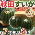 秋田県 ”秋田すいか” 訳あり 約7kg以上×2玉【予約 7月下旬～8月以降】 送料無料