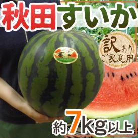 ”秋田県 秋田すいか” 訳あり 約7kg以上【予約 7月下旬〜8月以降】 送料無料