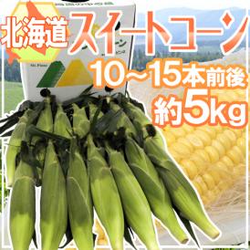北海道産 ”スイートコーン” 10～15本前後 約5kg【予約 8月中下旬以降】