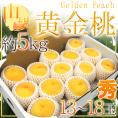 山梨 ”黄金桃 ゴールデンピーチ” 秀品 13～18玉 約5kg【予約 7月末以降】 送料無料
