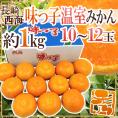 長崎県 西海産 ”温室 味っ子みかん” 10~12玉 約1kg 化粧箱【予約 2月下旬以降】 送料無料