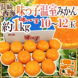 長崎県 西海産 ”温室 味っ子みかん” 10～12玉 約1kg 化粧箱【予約 2月下旬以降】 送料無料
