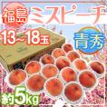 福島県産 ”ミスピーチ” 青秀品 13～18玉 約5kg 産地箱 糖度10.5度以上【予約 7月下旬以降】 送料無料
