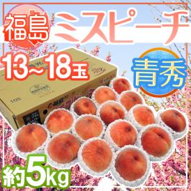 福島県産 ”ミスピーチ” 青秀品 13～18玉 約5kg 産地箱 糖度10.5度以上【予約 7月下旬以降】 送料無料