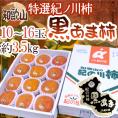 和歌山産 ”紀ノ川柿 黒あま” 10〜16玉 約3.5kg 化粧箱【予約 10月中旬以降】 送料無料