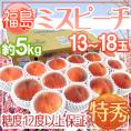 福島県産 ”ミスピーチ” 特秀品 13～18玉 約5kg 産地箱 糖度12度以上【予約 7月下旬以降】 送料無料