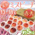 福島県産 ”ミスピーチ” 赤秀品 13～18玉 約5kg 産地箱【予約 7月下旬以降】 送料無料