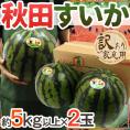 秋田県 ”秋田すいか” 訳あり 約5kg以上×2玉【予約 7月下旬～8月以降】 送料無料