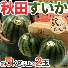 秋田県 ”秋田すいか” 訳あり 約5kg以上×2玉【予約 7月下旬～8月以降】 送料無料