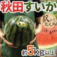 ”秋田県 秋田すいか” 訳あり 約5kg以上【予約 7月下旬～8月以降】 送料無料