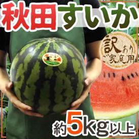 ”秋田県 秋田すいか” 訳あり 約5kg以上【予約 7月下旬～8月以降】 送料無料