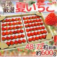 ”夏いちご” 48～72粒前後 約600g 産地厳選【予約 6月下旬以降】