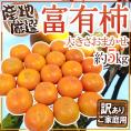 ”富有柿” 訳あり 約5kg 大きさおまかせ 産地厳選【予約 11月以降】 送料無料