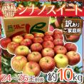 長野産 ”シナノスイート” 訳あり 24～36玉 約10kg りんご【予約 10月中下旬以降】 送料無料