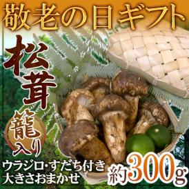 敬老の日ギフト ”中国産 松茸” 約300g カゴ入り・スダチ付 大きさおまかせ 【予約 9月7～15日お届け予定】 送料無料