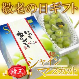 敬老の日ギフト 岡山産 ”シャインマスカット「晴王」” 大房 1房 約700g 産地化粧箱【予約 9月7～15日お届け予定】 送料無料