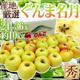 ”ぐんま名月” 秀品 24〜36玉 約10kg 産地厳選 りんご【予約 11月以降】 送料無料