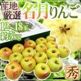 ”ぐんま名月” 秀品 12〜18玉 約5kg 産地厳選 りんご【予約 11月以降】 送料無料
