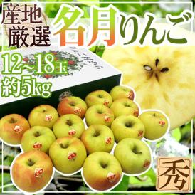 ”ぐんま名月” 秀品 12〜18玉 約5kg 産地厳選 りんご【予約 11月以降】 送料無料