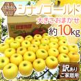 長野県 ”シナノゴールド” 訳あり 約10kg 大きさおまかせ りんご【予約 11月以降】 送料無料