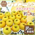 ”長野県 シナノゴールド” 訳あり 約5kg 大きさおまかせ りんご【予約 11月以降】 送料無料