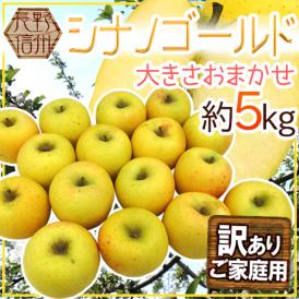 ”長野県 シナノゴールド” 訳あり 約5kg 大きさおまかせ りんご【予約 11月以降】 送料無料