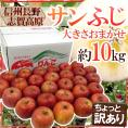 長野県 志賀高原産 ”サンふじ” 訳あり 約10kg 大きさおまかせ【予約 11月下旬以降】 送料無料