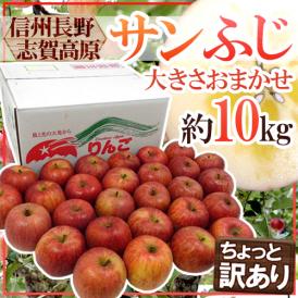 長野県 志賀高原産 ”サンふじ” 訳あり 約10kg 大きさおまかせ【予約 11月下旬以降】 送料無料