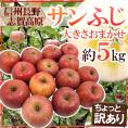 ”長野県 志賀高原産 サンふじ” 訳あり 約5kg 大きさおまかせ【予約 11月下旬以降】 送料無料