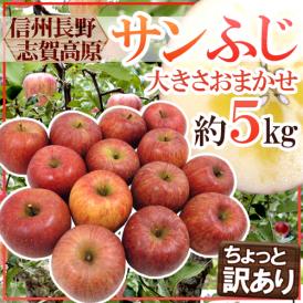 ”長野県 志賀高原産 サンふじ” 訳あり 約5kg 大きさおまかせ【予約 11月下旬以降】 送料無料