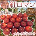”岩手江刺産 紅ロマンりんご” 訳あり 約5kg 大きさおまかせ【予約 9月以降】 送料無料