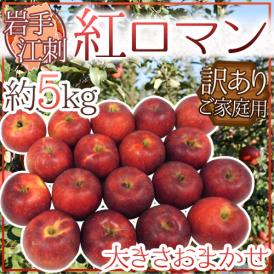 ”岩手江刺産 紅ロマンりんご” 訳あり 約5kg 大きさおまかせ【予約 9月以降】 送料無料