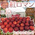 岩手江刺産 ”紅ロマンりんご” 訳あり 約10kg 大きさおまかせ【予約 9月以降】 送料無料