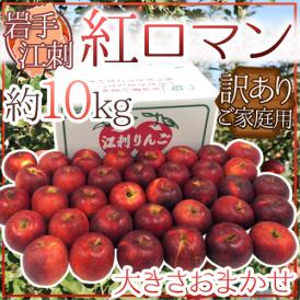 岩手江刺産 ”紅ロマンりんご” 訳あり 約10kg 大きさおまかせ【予約 9月以降】 送料無料