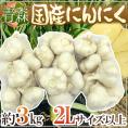 【送料無料】青森県 ”国産にんにく” 約3kg 等級A/B 2Lサイズ以上
