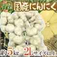 【送料無料】青森県 ”国産にんにく” 約5kg 等級A/B 2Lサイズ以上