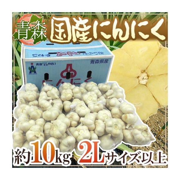 送料無料】青森県 ”国産にんにく” 約10kg 等級A/B 大きさおまかせ 大粒