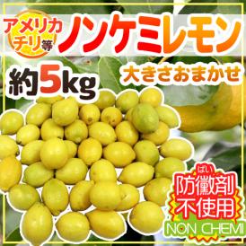 チリ・アメリカ産など ”ノンケミレモン” 大きさおまかせ 約5kg 安心の防ばい剤不使用！ノンケミカル/防黴剤（防かび剤）不使用【予約 入荷次第発送】 送料無料