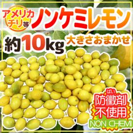 チリ・アメリカ産など ”ノンケミレモン” 大きさおまかせ 約10kg 安心の防ばい剤不使用！ノンケミカル/防黴剤（防かび剤）不使用【予約 入荷次第発送】 送料無料