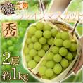 ”完熟シャインマスカット” 秀品 2房 約1kg 産地厳選【予約 8月末以降】 送料無料
