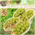 ”完熟シャインマスカット” 秀品 3～5房 約2kg 産地厳選【予約 8月末以降】 送料無料