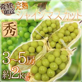 ”完熟シャインマスカット” 秀品 3～5房 約2kg 産地厳選【予約 8月末以降】 送料無料
