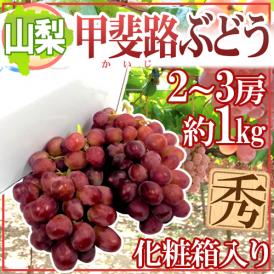 ”山梨産 甲斐路ぶどう” 秀品 2〜3房 約1kg以上 化粧箱【予約 9月中旬以降】 送料無料