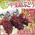 ”山梨産 甲斐路ぶどう” 秀品 3〜5房 約2kg 化粧箱【予約 9月中旬以降】 送料無料