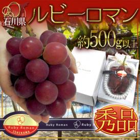 石川産 ”ルビーロマン” 大房 1房 約500g以上【予約 8月以降】 送料無料