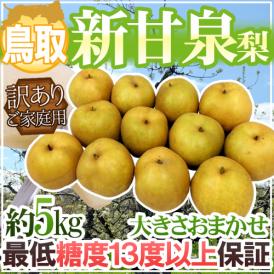  ”鳥取産 新甘泉（しんかんせん）梨” 訳あり 約5kg 大きさおまかせ 糖度13度以上【予約 8月下旬以降】 送料無料