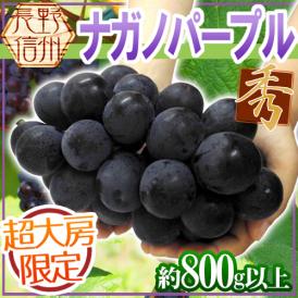 長野産 ”ナガノパープル” 秀品 超大房 約800g以上 ぶどう【予約 9月以降】
