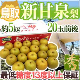 鳥取産 ”新甘泉（しんかんせん）梨” 秀品 20玉前後 約5kg【予約 8月下旬以降】 送料無料