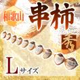 和歌山産 ”串柿” Lサイズ（1串10玉約45cm）【予約 12月中の発送】