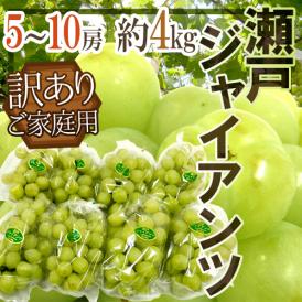 種なしで皮ごとたべられる、人気沸騰中のぶどう♪